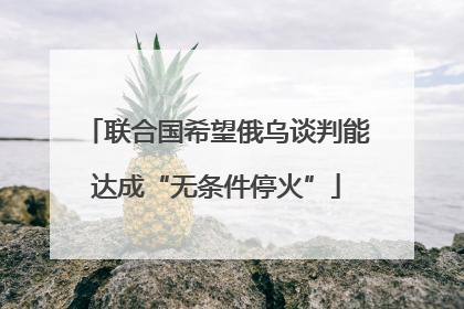 联合国希望俄乌谈判能达成“无条件停火”